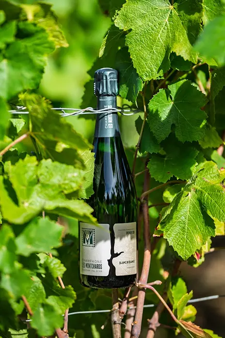 Champagne Les Montchards